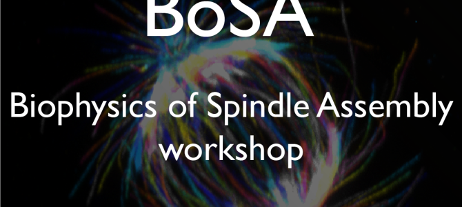 Biophysics of Spindle Assembly workshop