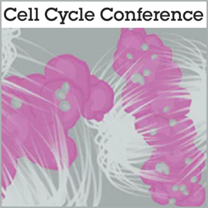 Cell Cycle Conference