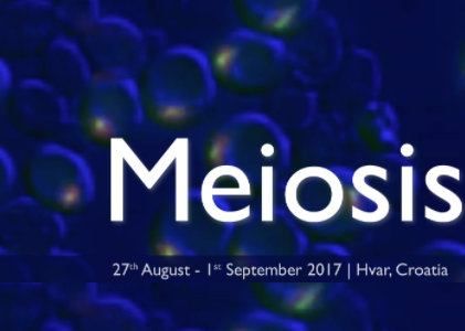 Join us on the island of Hvar at the EMBO Conference on Meiosis 2017