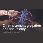 EMBO - chromosome segregation