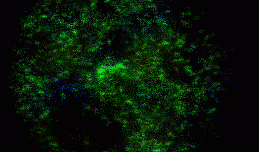 Our new paper is published in Nature Communications!