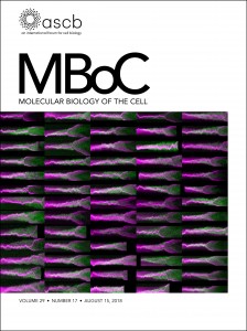 mboc.2018.29.issue-171.cover