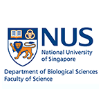 nus-dbs-logo