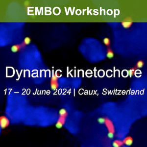 EMBO Workshop