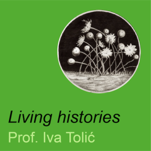 Iva_Living Histories